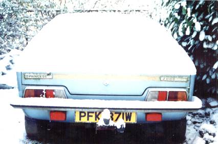 pfk snow rear